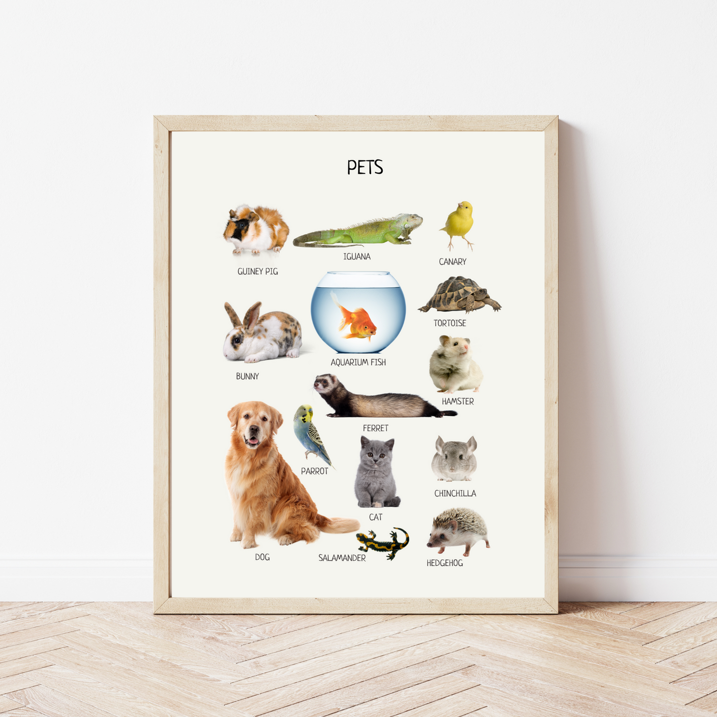 Educational Wall Posters for Kids – Montessori & Homeschool Learning Prints