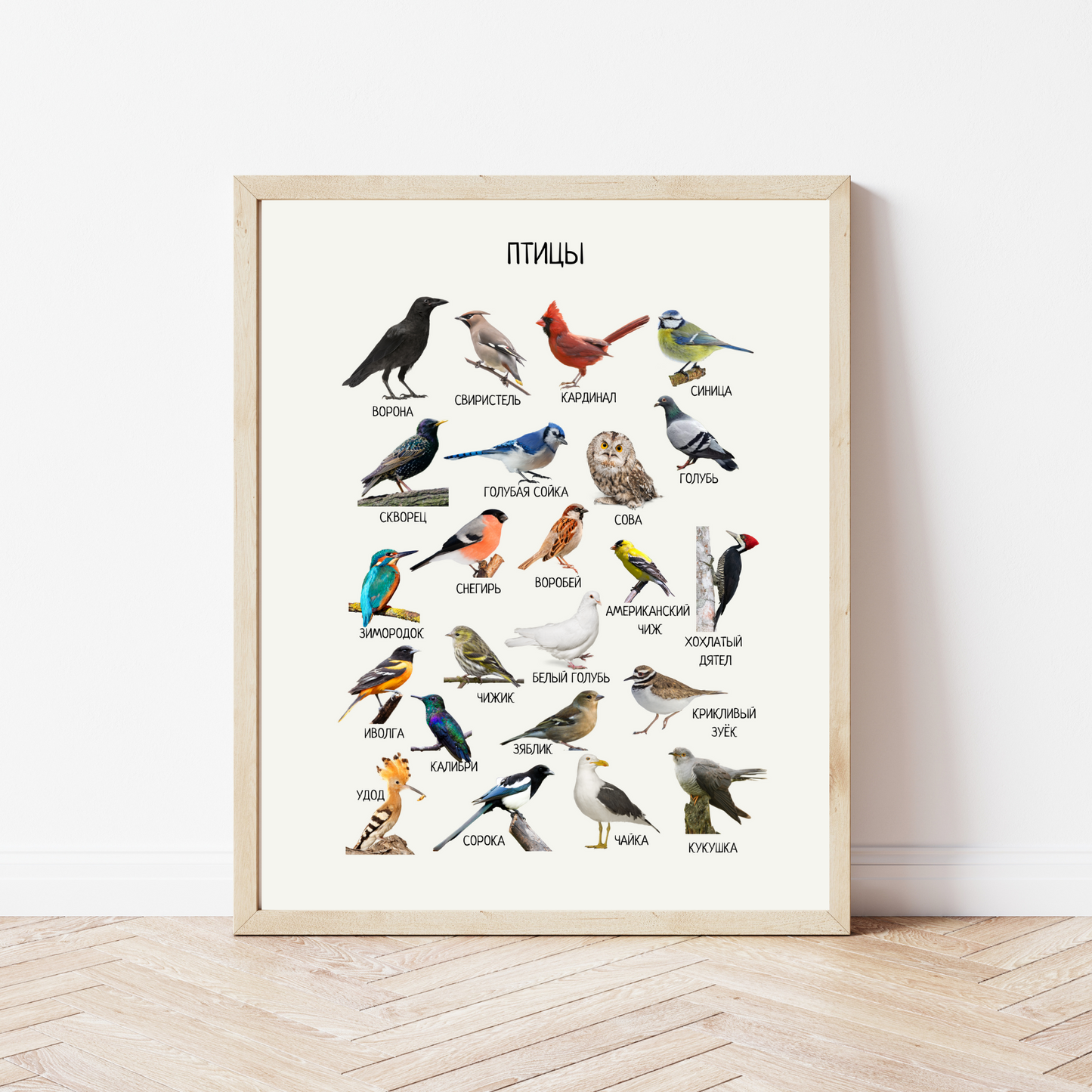Birds Poster in Russian – Educational Wall Art for Kids' Spaces