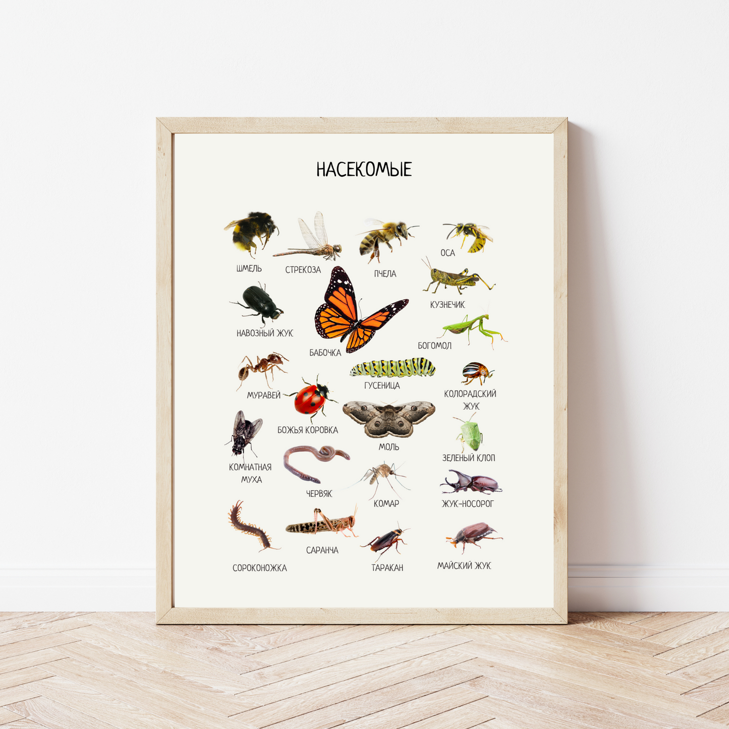 Insects Poster in Russian – Educational Classroom Wall Art