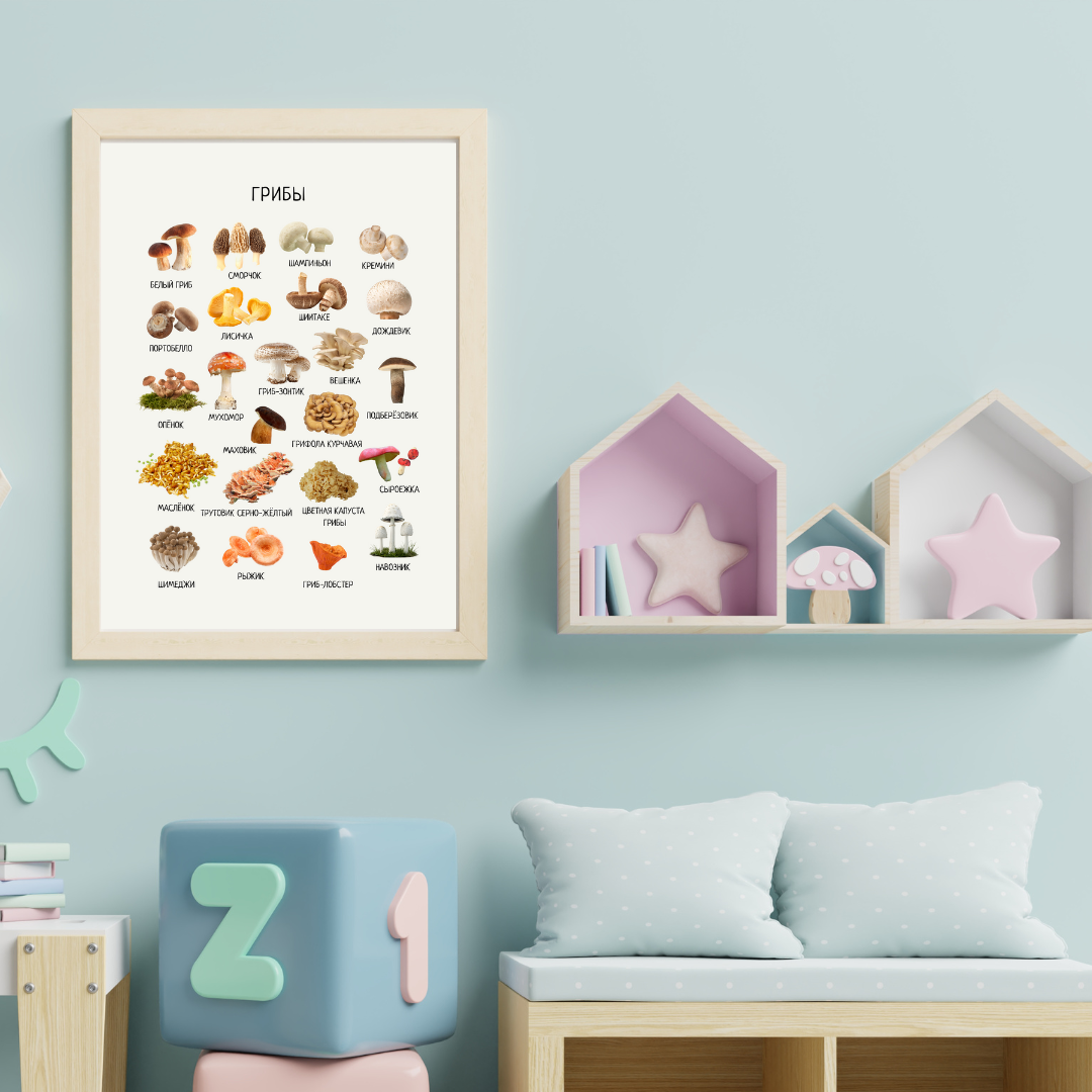 Mushroom Poster - Educational Russian Wall Decor Homeschool Poster