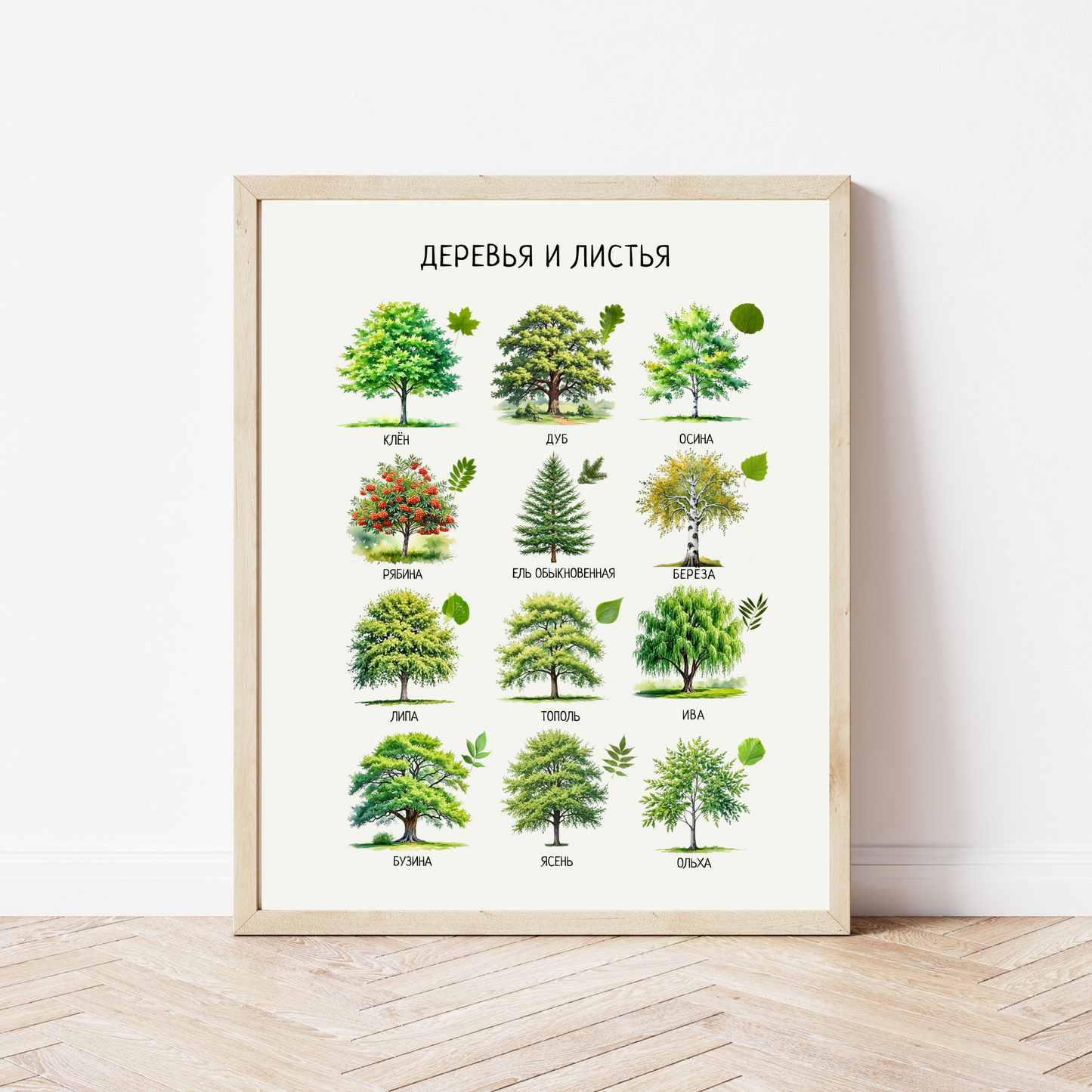 Trees & Leaves Russian Poster – Educational Nature Print