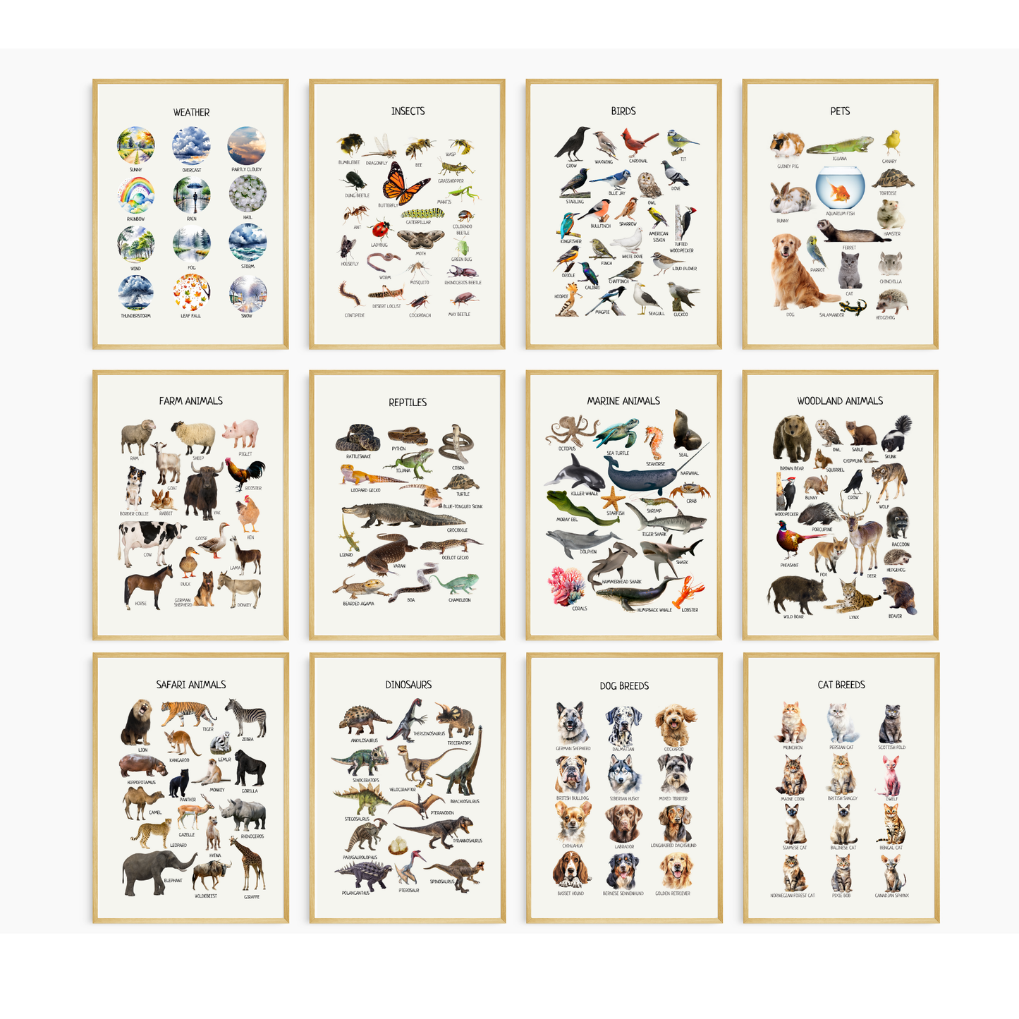 Montessori-Inspired Educational Posters β Printed Learning Posters for Kids