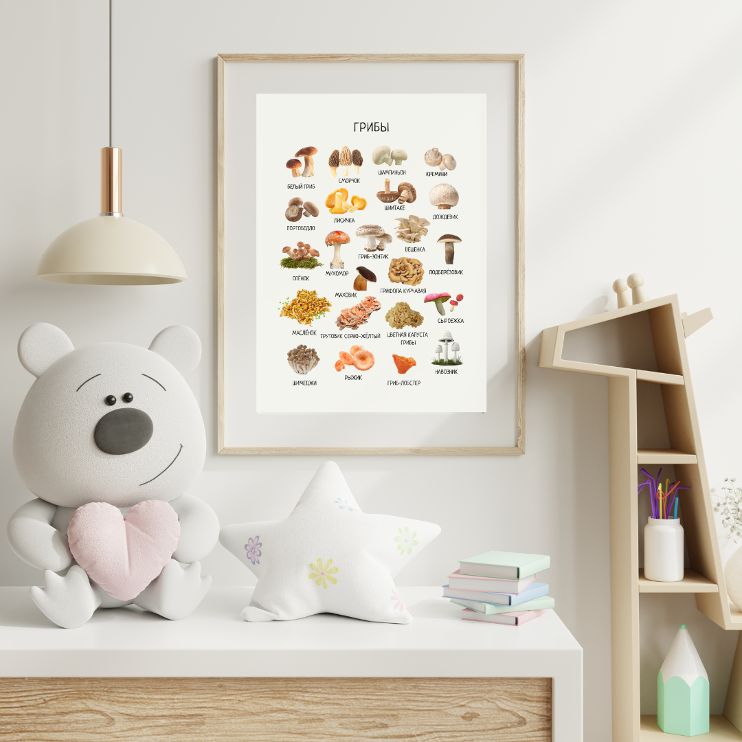 Mushroom Poster - Educational Russian Wall Decor Homeschool Poster