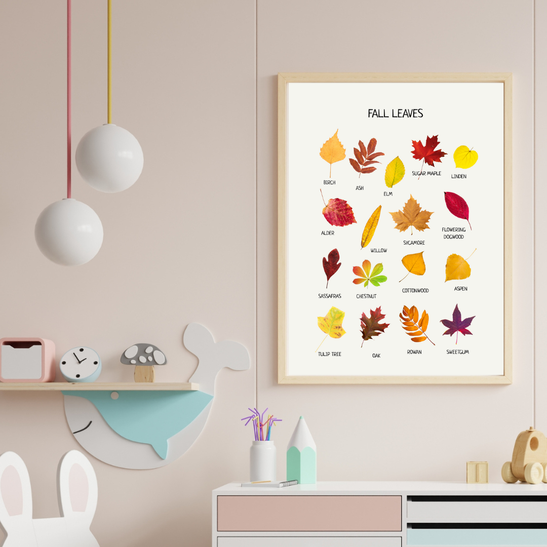 Fall Leaves Poster - Educational Learning Printable Wall Decor Poster