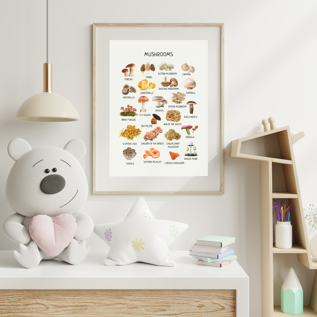Mushroom Poster - Homeschool Educational Learning Printable Wall Decor Poster