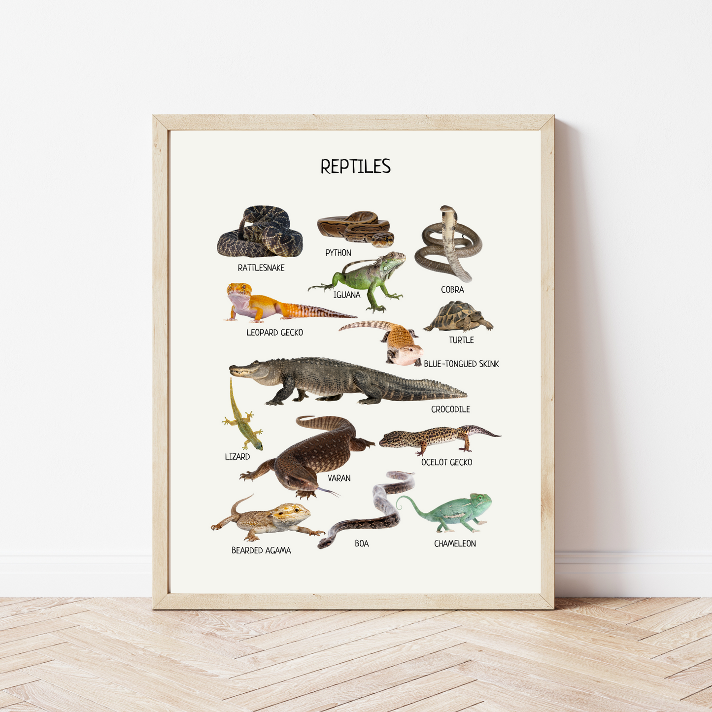 Educational Wall Posters for Kids – Montessori & Homeschool Learning Prints