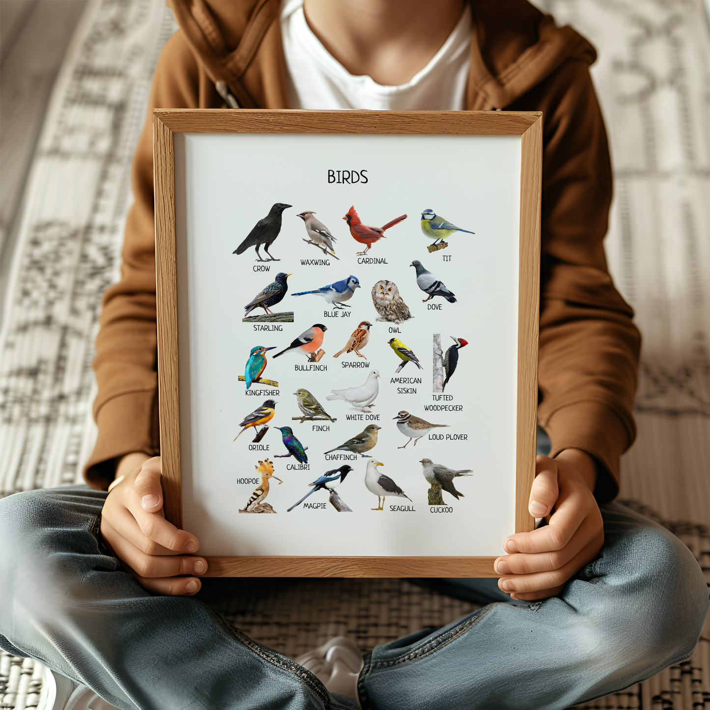 Birds Poster for Kids – Montessori Printable Wall Decor