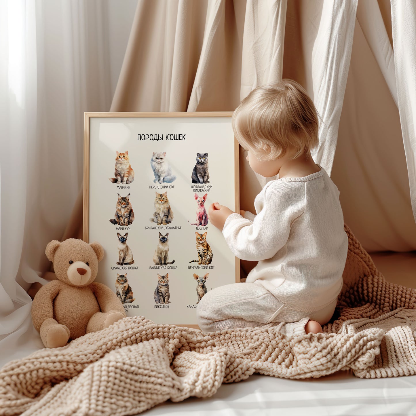 Cat Breeds Poster in Russian – Educational Wall Art