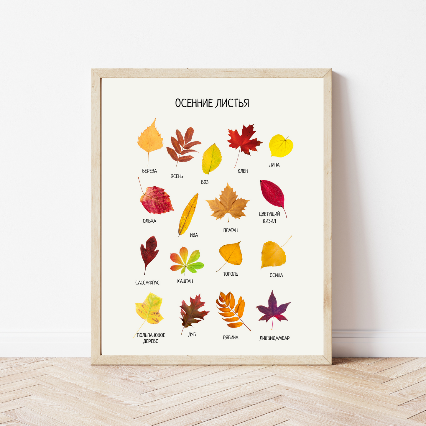 Fall Leaves Poster - Educational Russian Wall Decor Poster