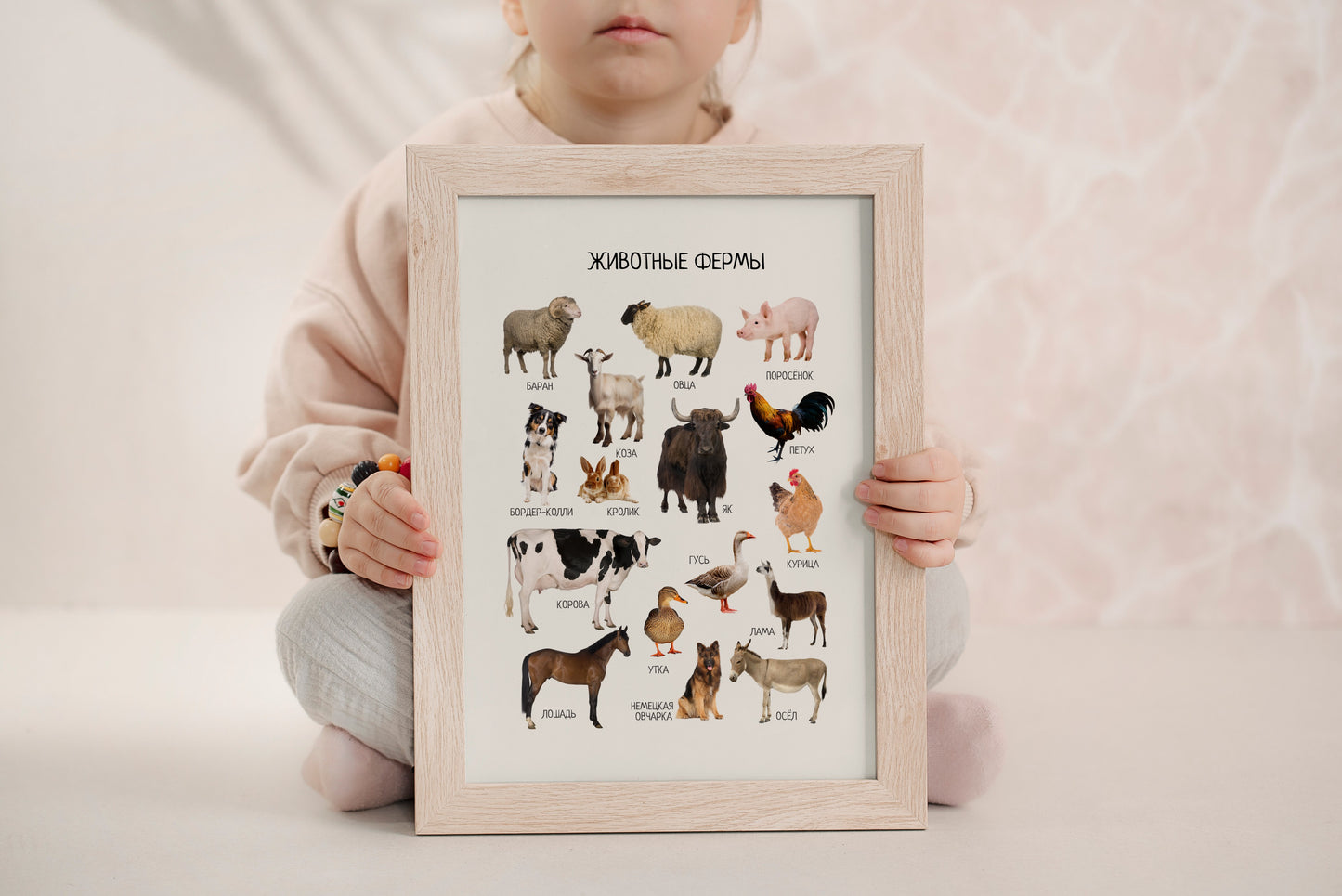 Farm Animals Poster in Russian - Kids Educational Poster