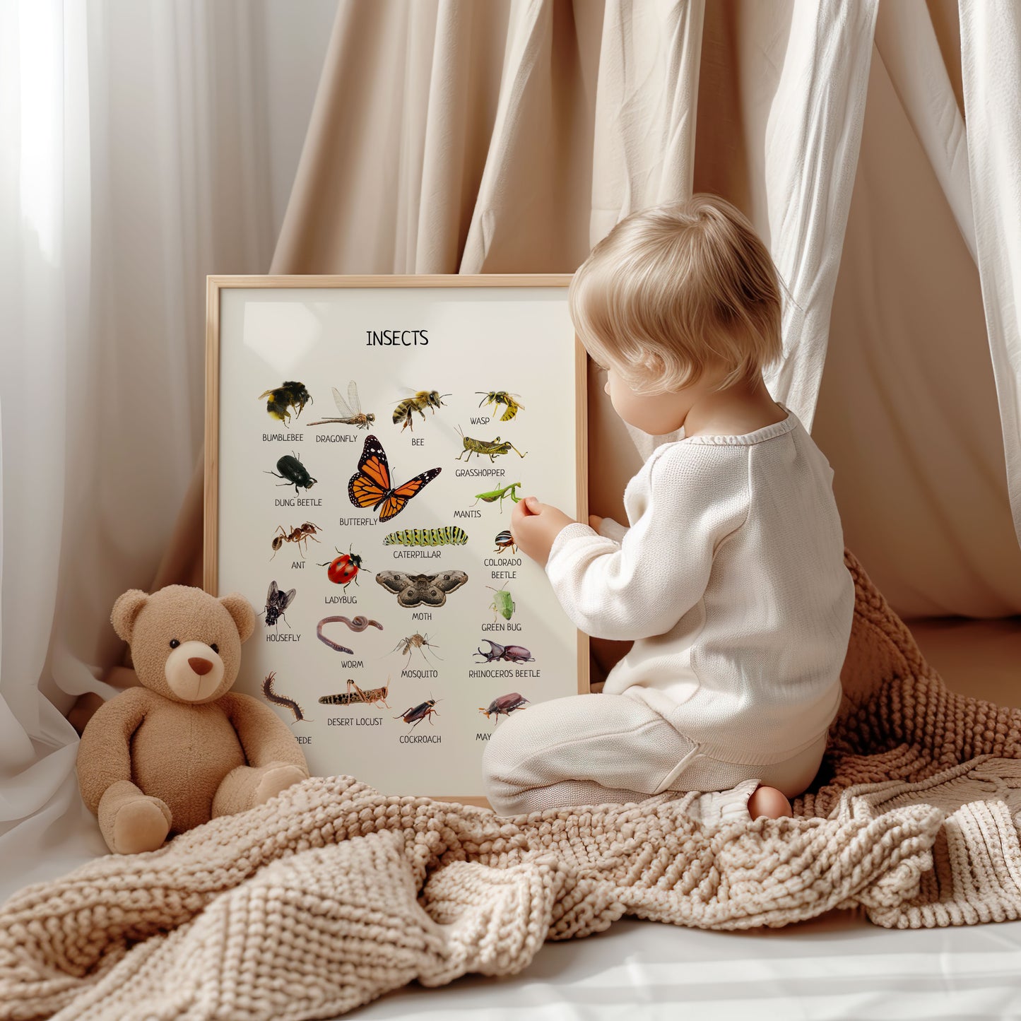 Insects Poster for Kids – Educational Wall Art for Classrooms