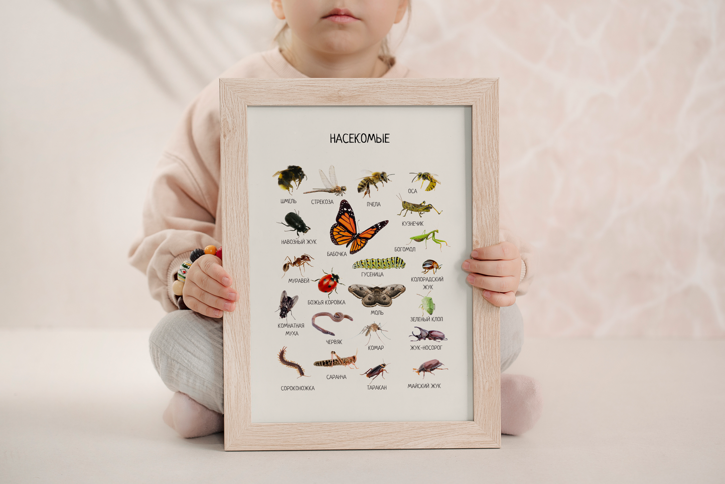 Insects Poster in Russian – Educational Classroom Wall Art