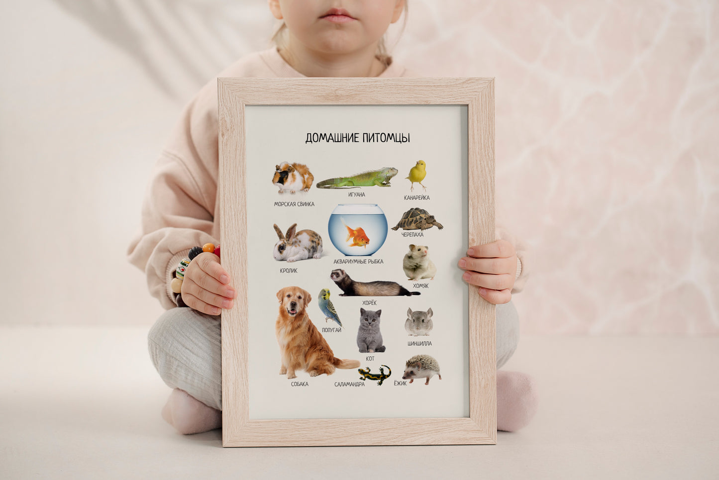 Russian Pet Animals Poster - Kids Nursery Wall Art