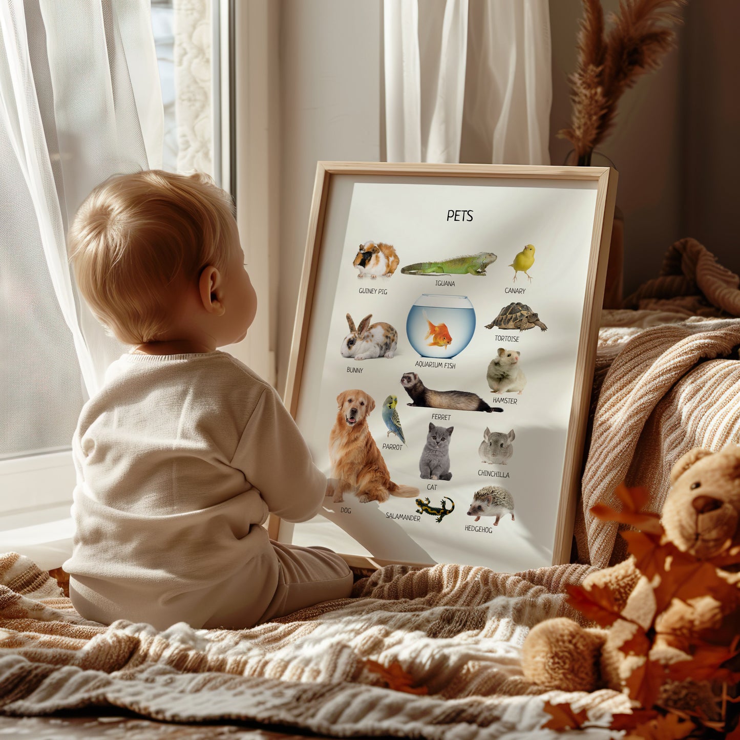 Pet Animal Poster – Kids Wall Art for Nursery or Classroom