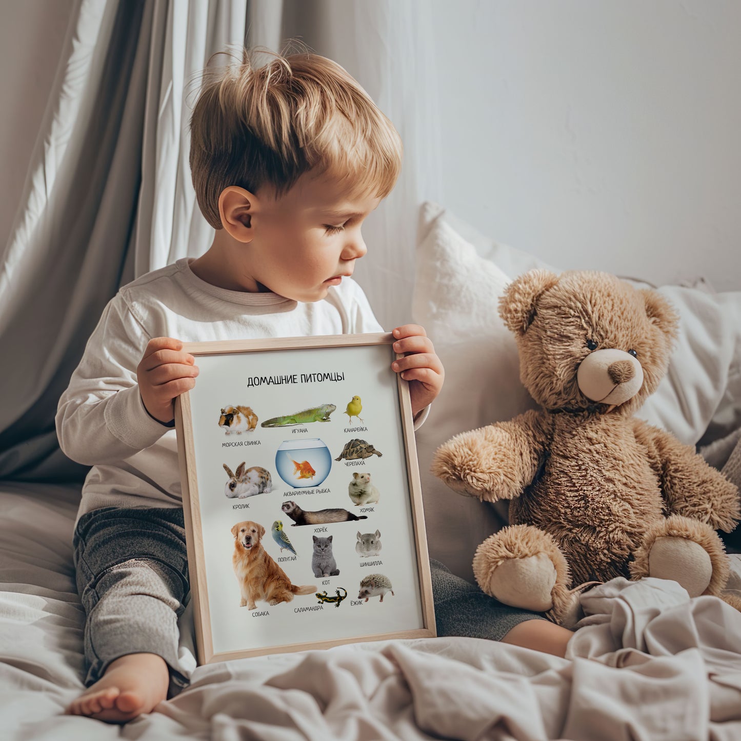 Russian Pet Animals Poster - Kids Nursery Wall Art