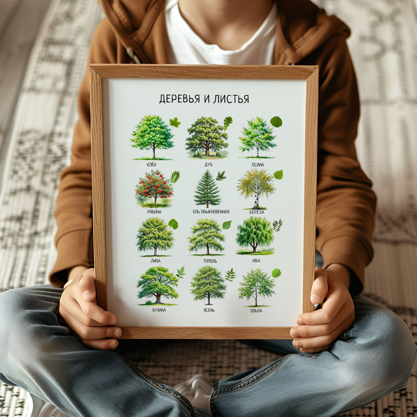 Trees & Leaves Russian Poster – Educational Nature Print