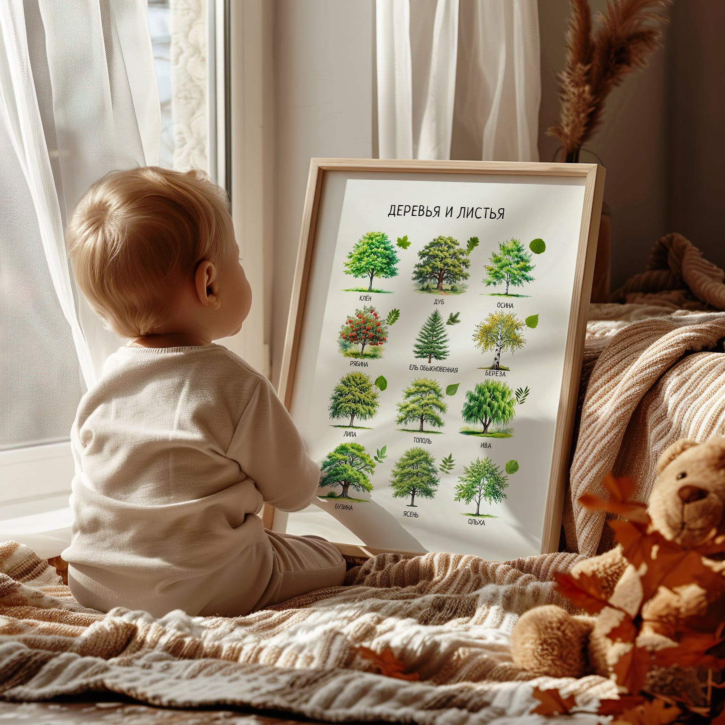 Trees & Leaves Russian Poster – Educational Nature Print