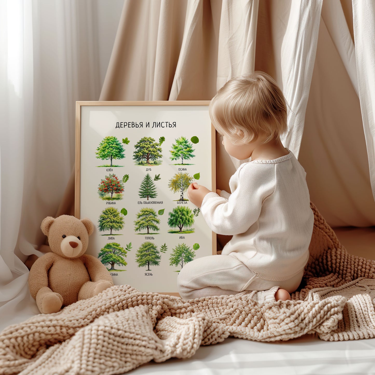 Trees & Leaves Russian Poster – Educational Nature Print