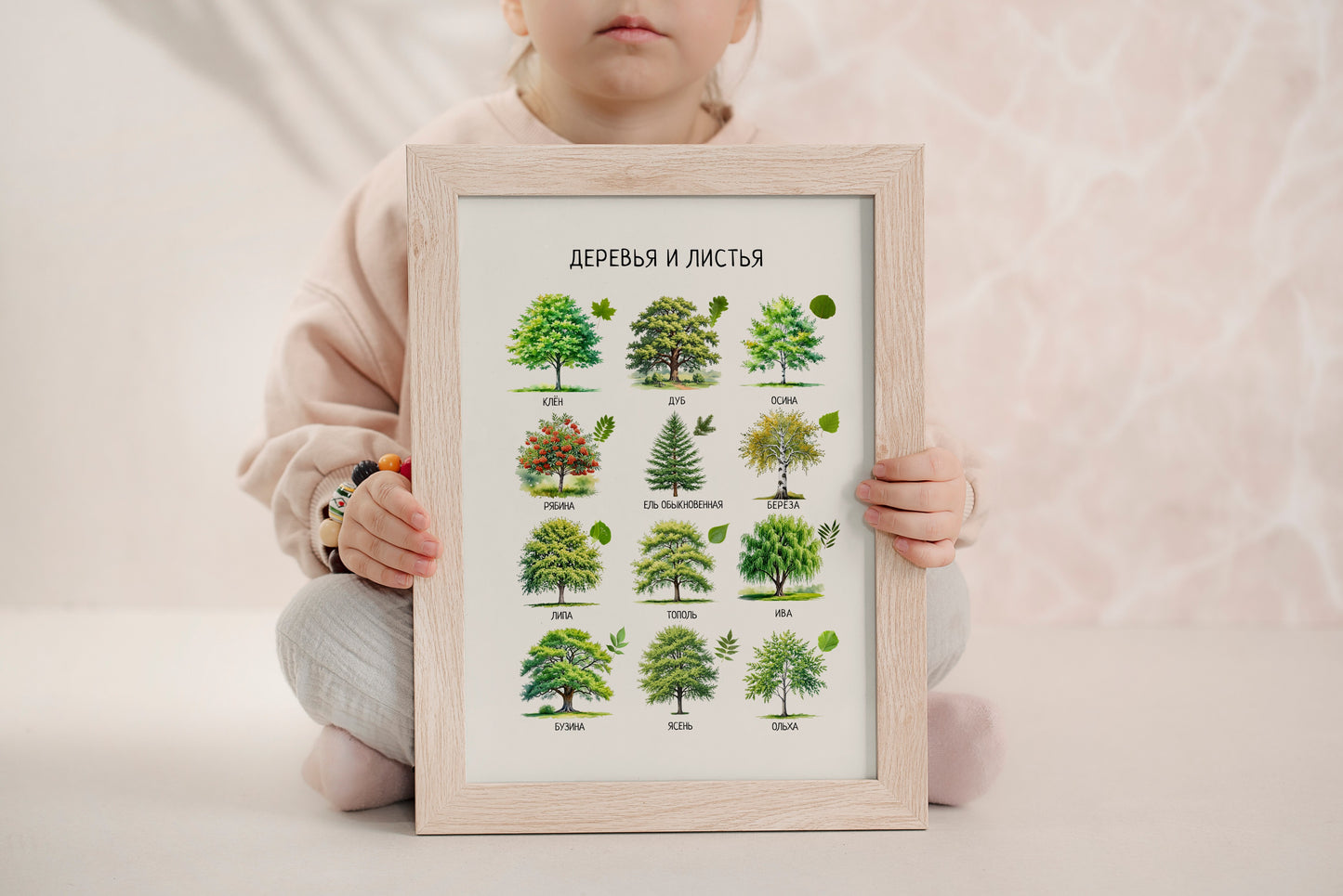 Trees & Leaves Russian Poster – Educational Nature Print