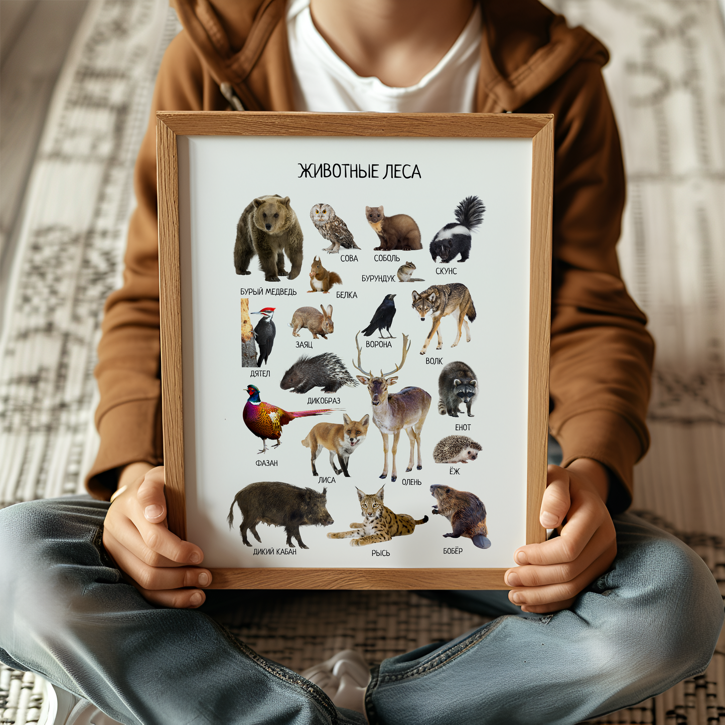 Woodland Animal Posters in Russian – Educational Nursery Wall Print