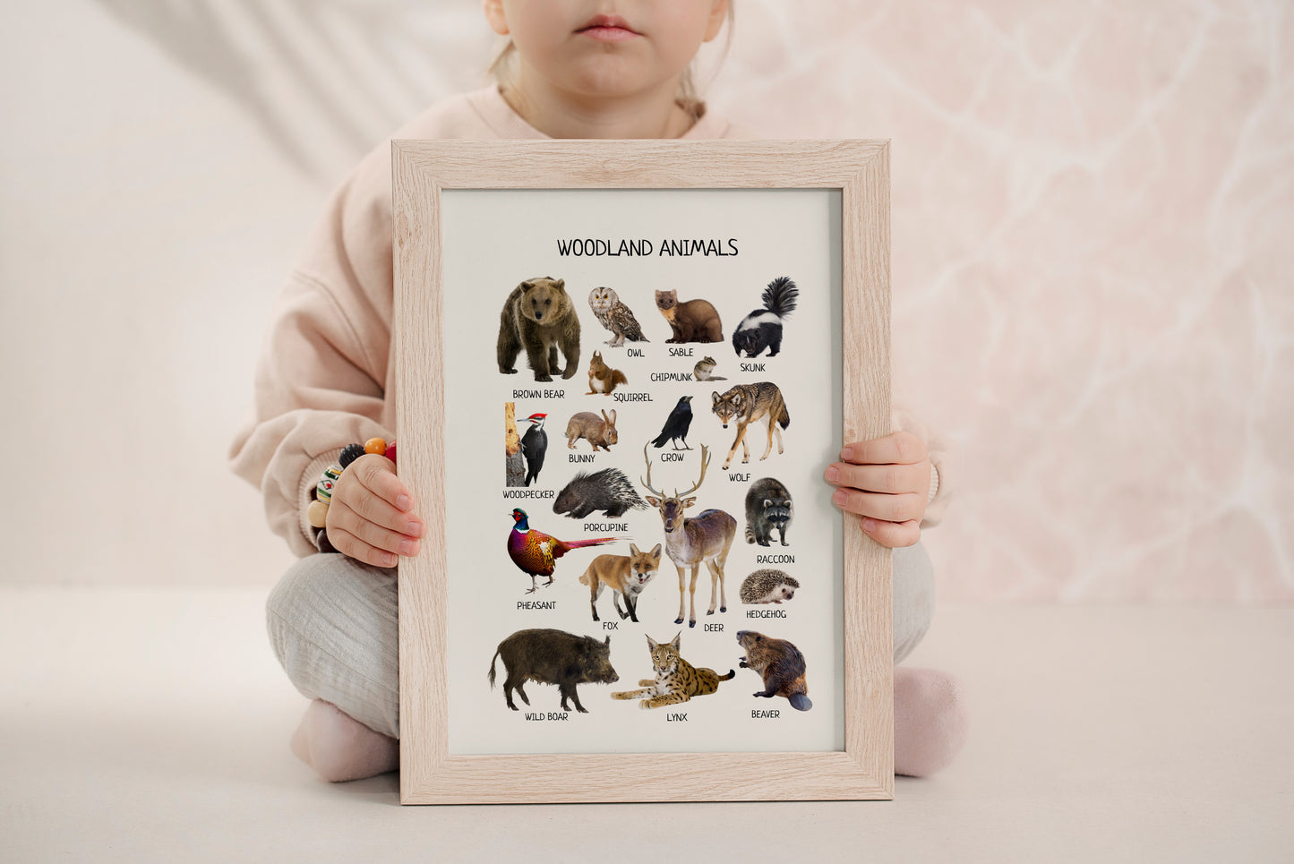 Woodland Animal Posters – Educational Nursery Wall Art Print