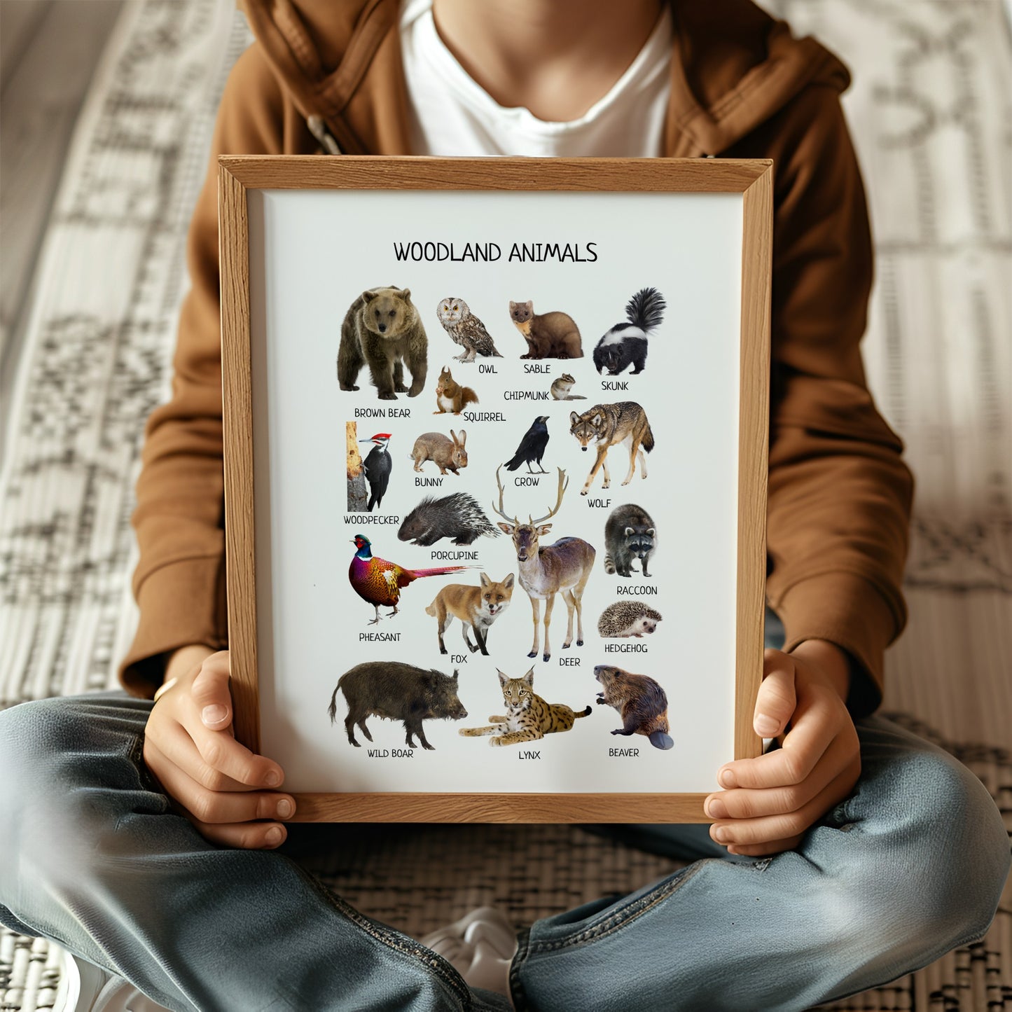 Woodland Animal Posters – Educational Nursery Wall Art Print