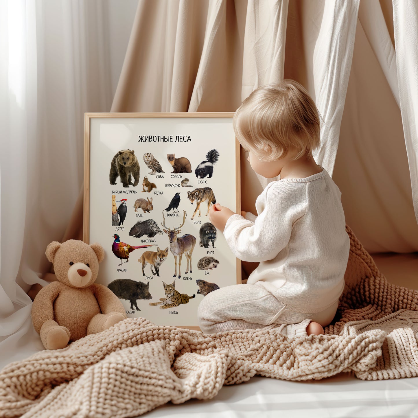 Woodland Animal Posters in Russian – Educational Nursery Wall Print