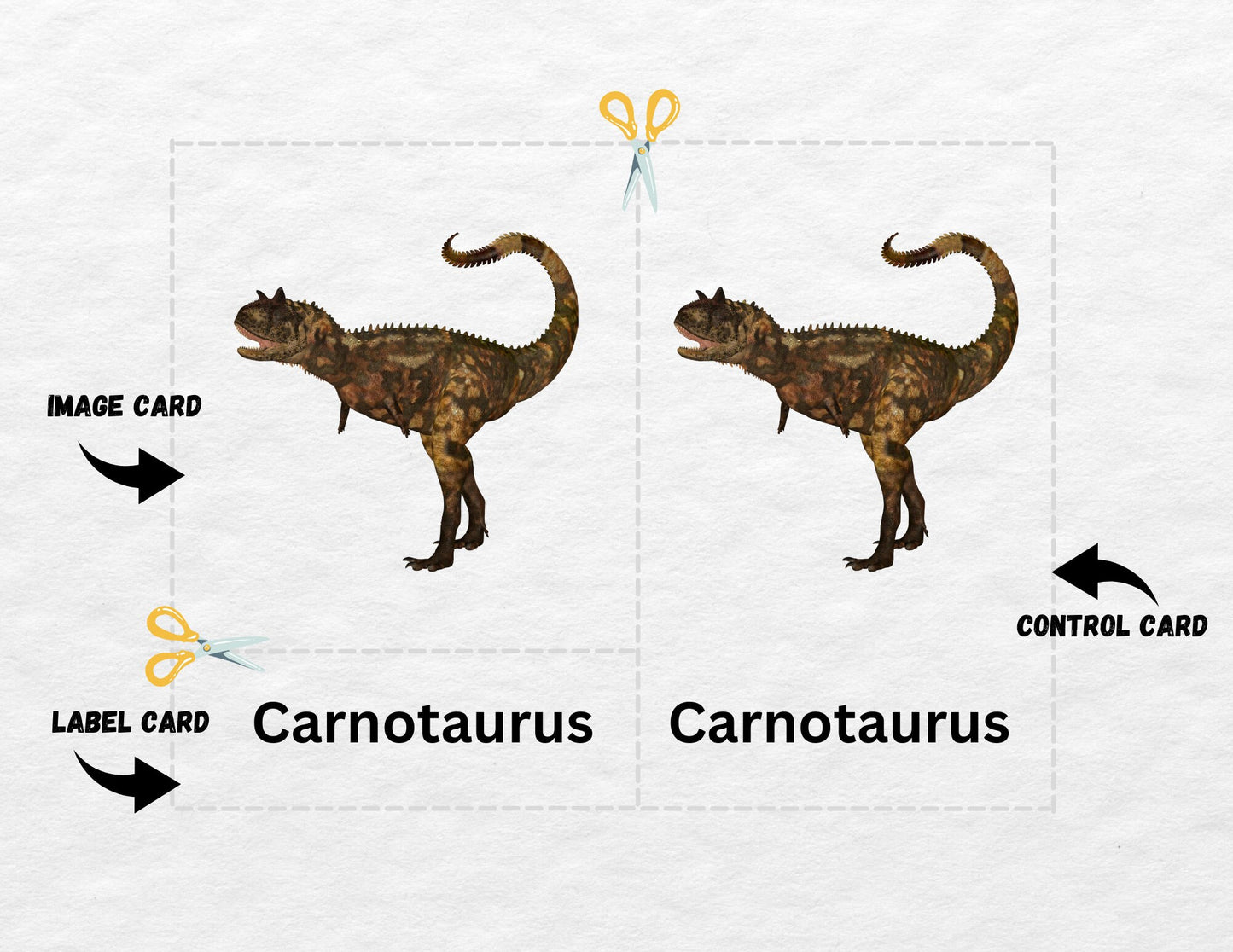 24 Dinosaur Nomenclature Cards, 3 Part Montessori Cards, Preschool Vocabulary Activity, Educational Pre-reading Printable Cards