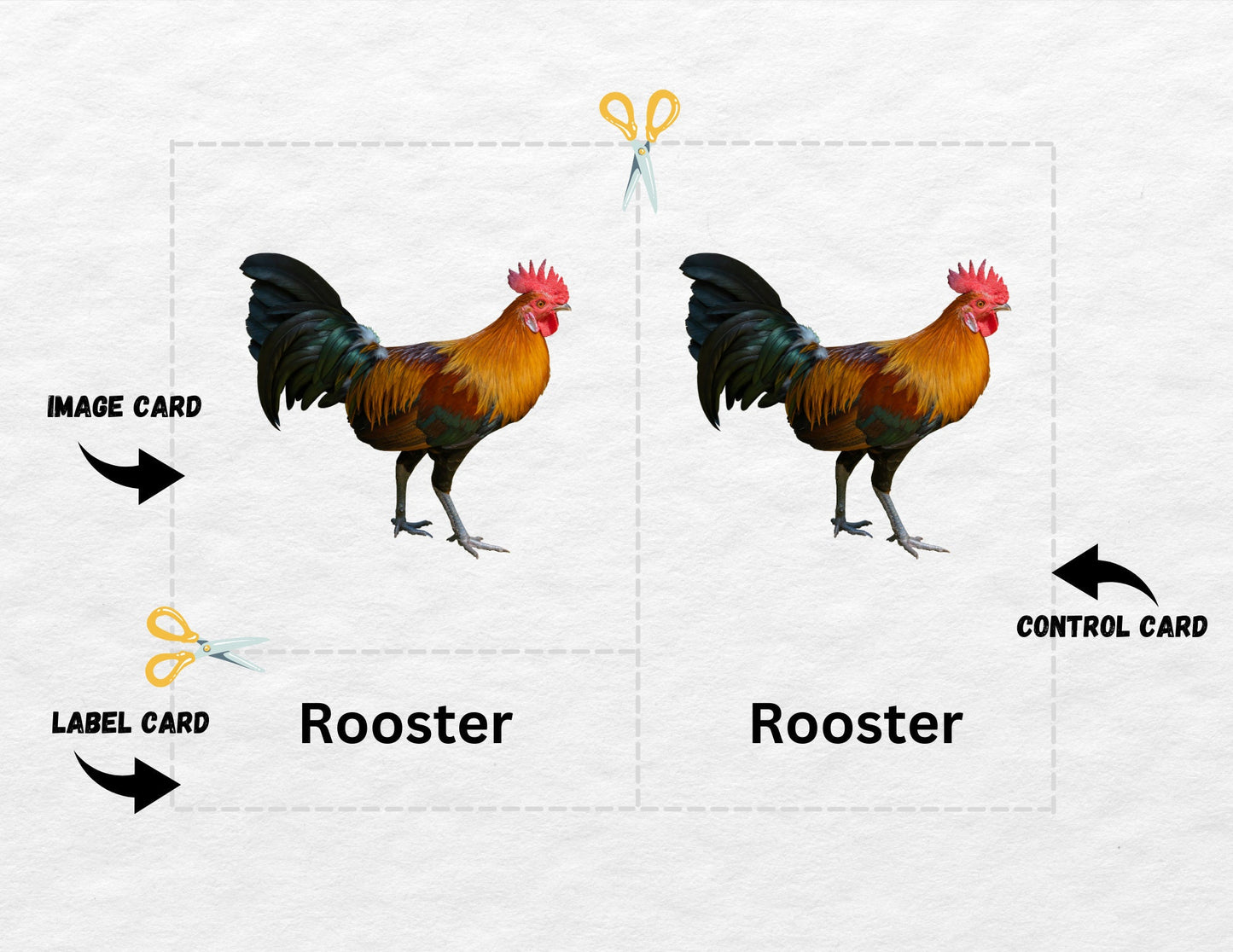 19 Farm Animals, 3 Part Montessori Cards, Preschool Vocabulary Activity, Educational Pre-reading Printable Cards, Farm Pets Nomenclature
