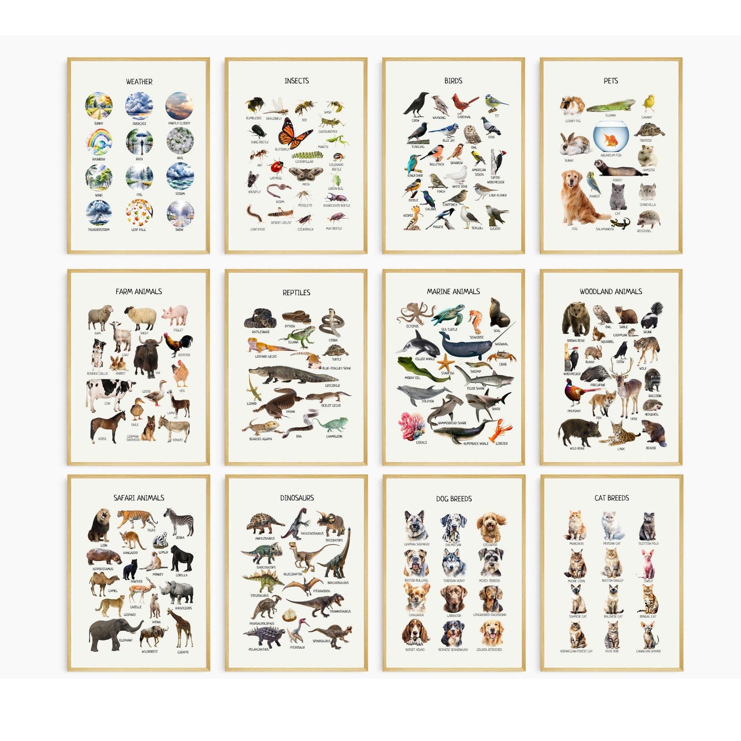 Educational Posters | 36 Homeschool Prints | Montessori Classroom Decor | Learning Posters | 36 Topics for Young Children & Preschoolers