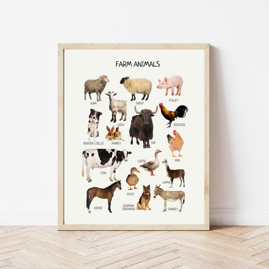 Farm Animals Educational Poster, Montessori Print, Domestic Animals, Classroom Decor, Printable Wall Art, Nursery Decor, FRAME NOT INCLUDED