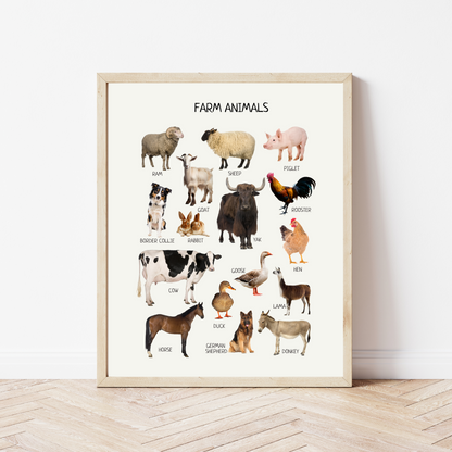Educational Wall Posters for Kids – Montessori & Homeschool Learning Prints