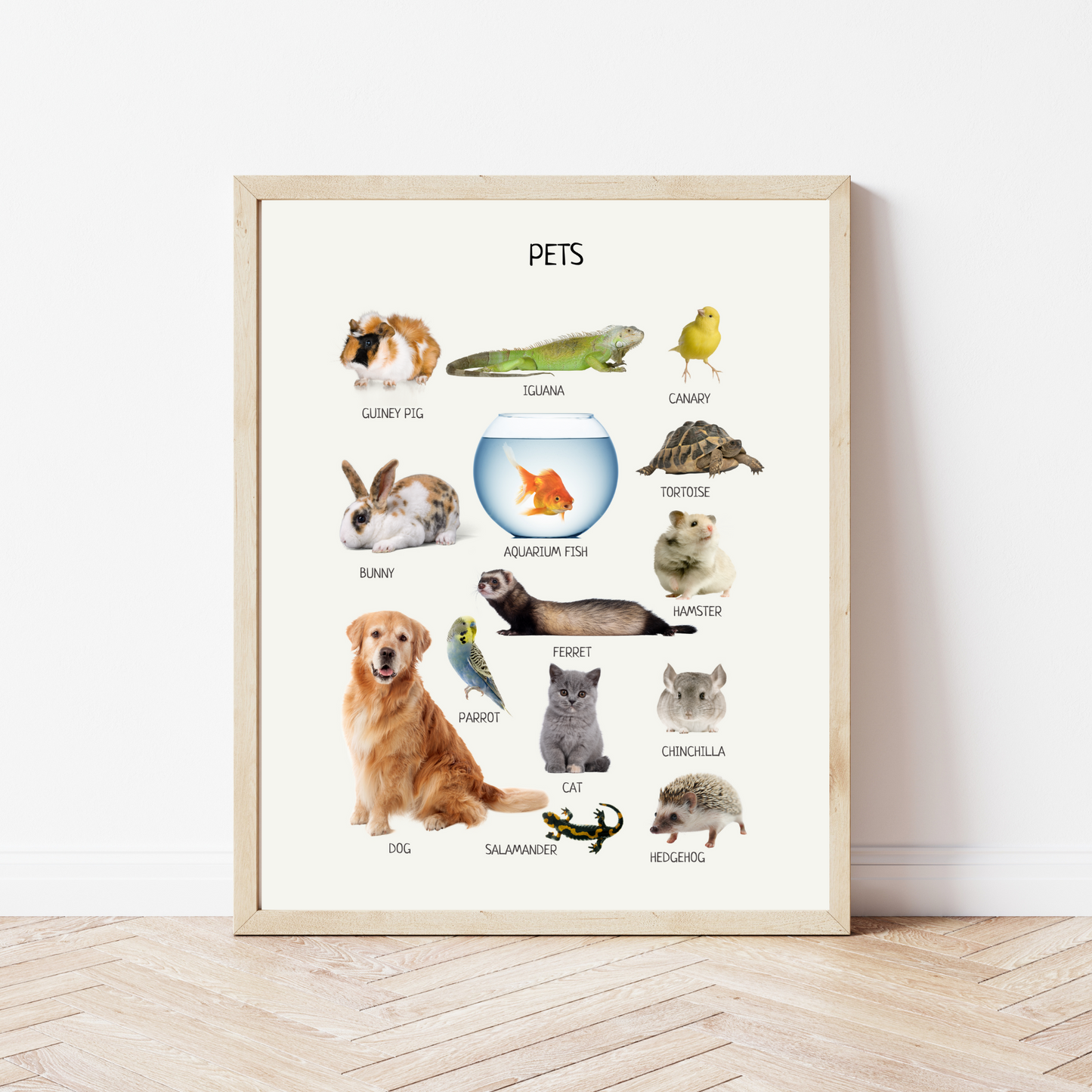 Pets Poster, Animals Wall Art, Montessori Poster, Kids Wall Print Poster, Classroom Decor, Nursery Room Decor, FRAME NOT INCLUDED