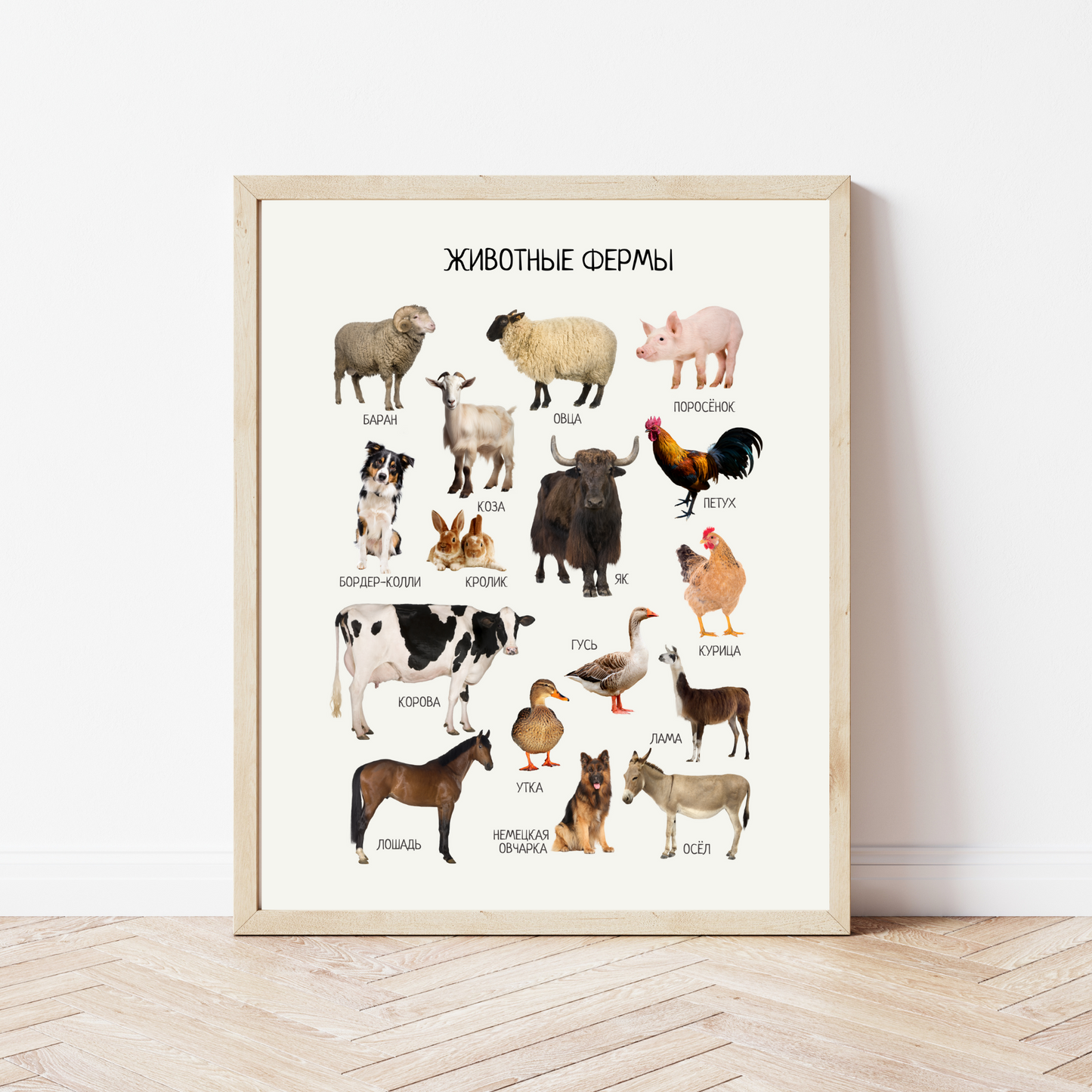 Russian Educational Montessori & Homeschool Learning  Posters for Kids