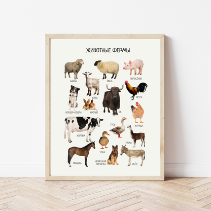 Russian Educational Montessori & Homeschool Learning  Posters for Kids