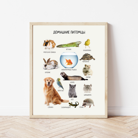 Russian Pet Animals Poster - Kids Nursery Wall Art
