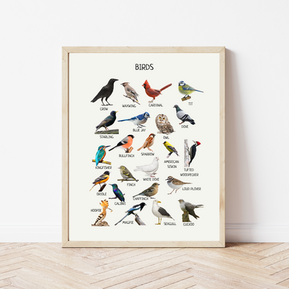 Educational Wall Posters for Kids – Montessori & Homeschool Learning Prints