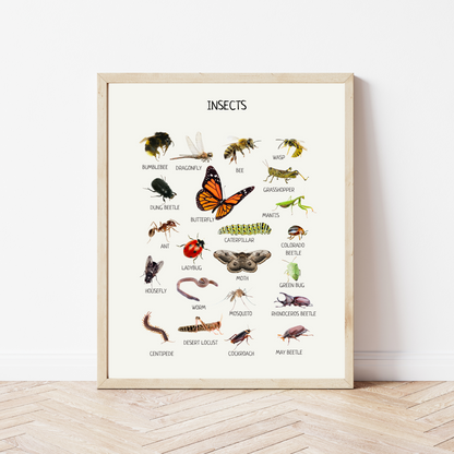 Educational Wall Posters for Kids – Montessori & Homeschool Learning Prints