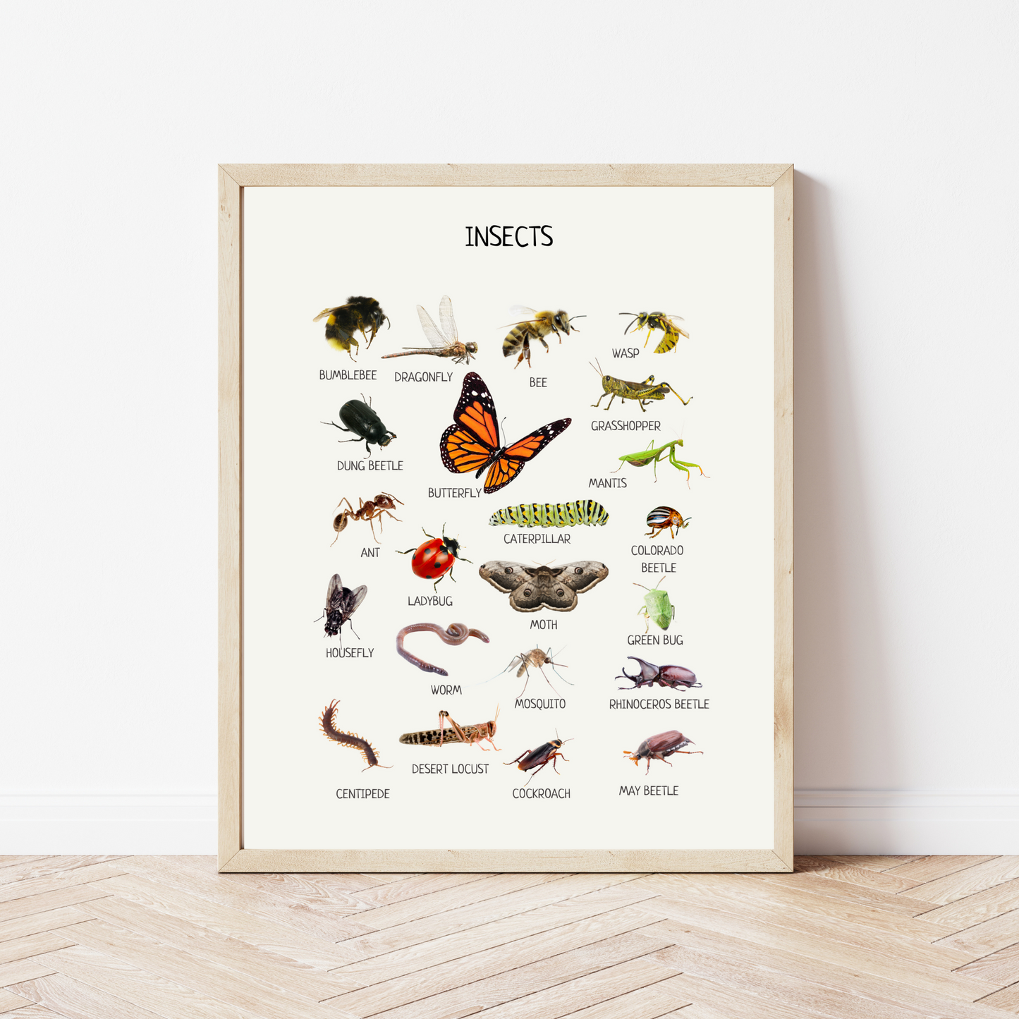 Insects Educational Poster, Montessori Poster, Kids Wall Print Poster, Classroom Decor, Nursery Room Decor, FRAME NOT INCLUDED