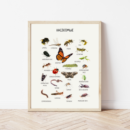 Russian Educational Montessori & Homeschool Learning  Posters for Kids