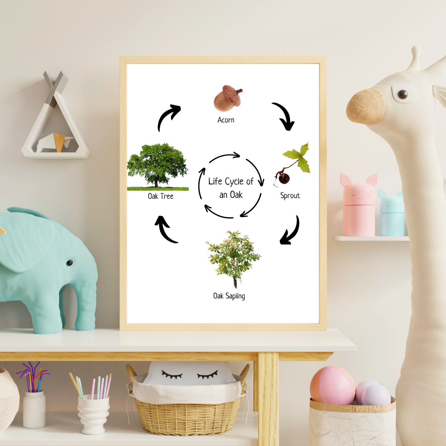 Oak Life Cycle, Tree Life Cycle, Montessori Poster, Science Poster, Homeschool Prints, Educational Classroom Decor