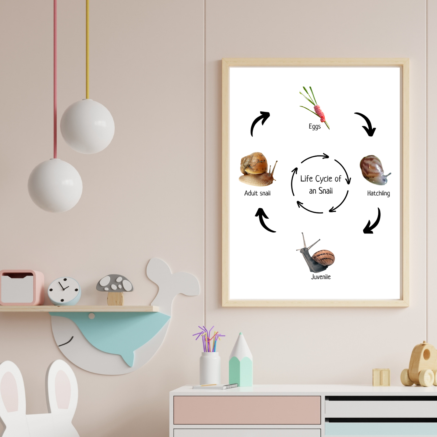 Snail Life Cycle, Insect Life Cycle, Montessori Poster, Science Poster, Homeschool Prints, Educational Classroom Decor