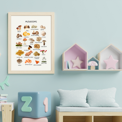 Mushroom Poster - Homeschool Educational Learning Printable Wall Decor Poster
