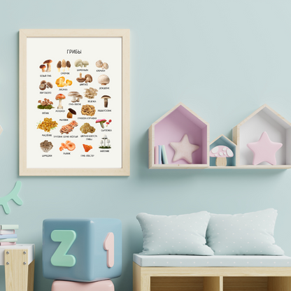 Mushroom Poster - Educational Russian Wall Decor Homeschool Poster
