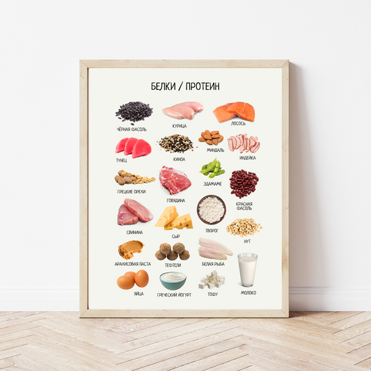 Protein-Rich Foods Poster in Russian - Nursery & Classroom