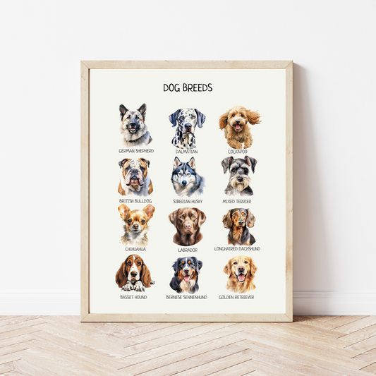 Dog Breeds Poster, Educational Wall Art, Dog Breeds Print, Montessori Material, Classroom Decor, Nursery Room Decor, FRAME NOT INCLUDED