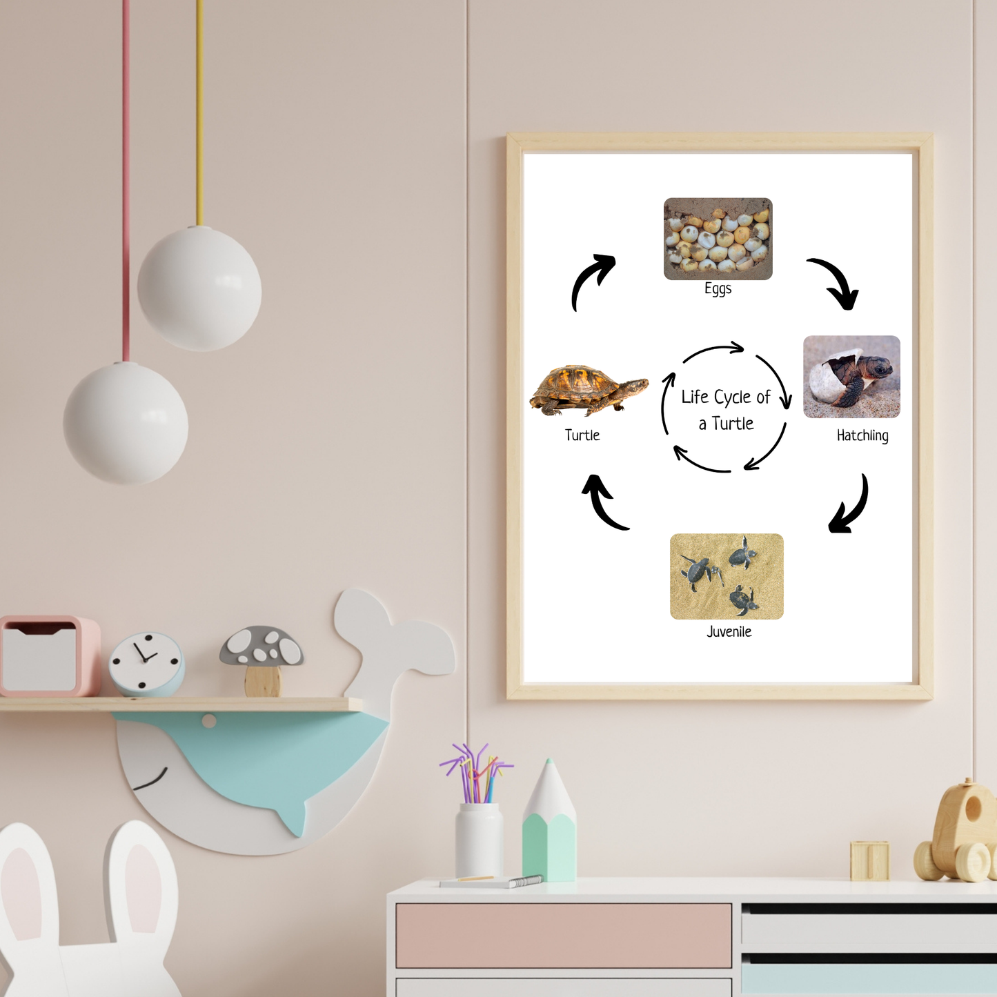 Life Cycle of a Turtle, Montessori Poster, Science Poster, Homeschool Prints, Educational Classroom Decor