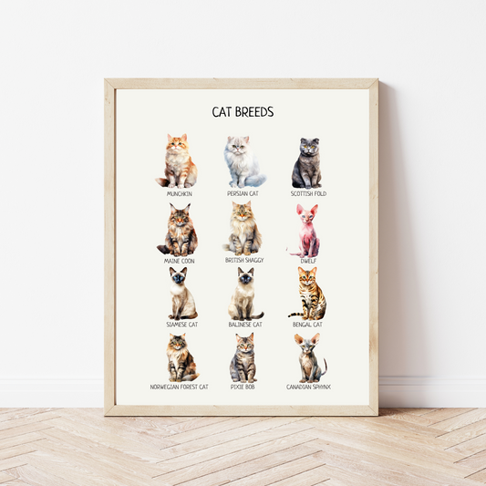 Cat Breeds Poster, Kids Educational Wall Art, Cat Breeds Print, Montessori Material, Classroom Decor, Nursery Room Decor, FRAME NOT INCLUDED