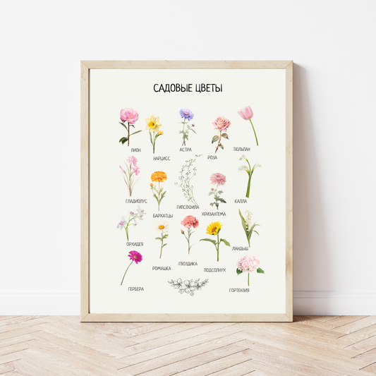 Garden Flowers Poster in Russian – Educational Wall Art