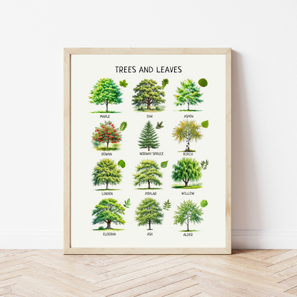 Educational Wall Posters for Kids – Montessori & Homeschool Learning Prints